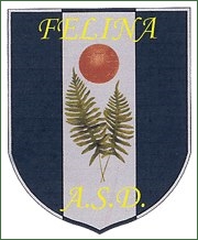 calcioreggiano.com