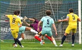 calcioreggiano.com
